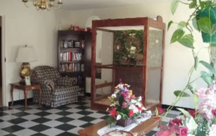 A cozy living room featuring a bookshelf, armchair, and a large terrarium with a floral centerpiece on the coffee table.