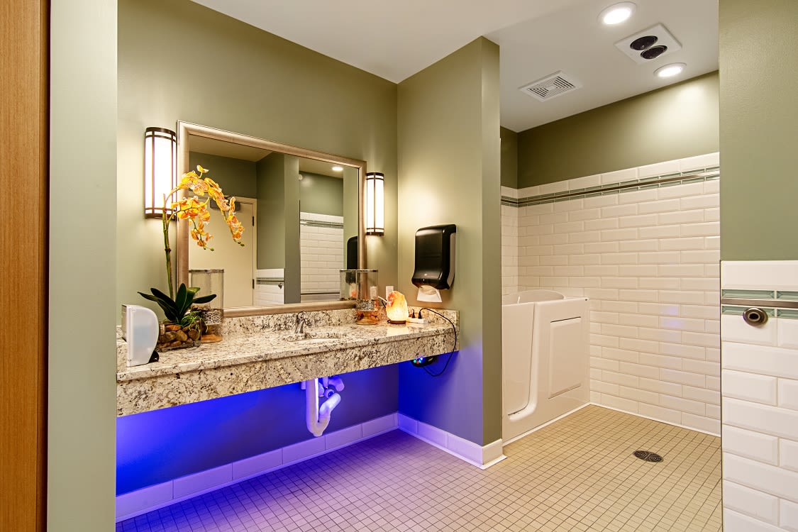 A modern bathroom with stylish lighting, granite countertop, and an elegant orchid decoration.