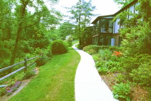 A serene pathway leading through a lush garden beside a house.