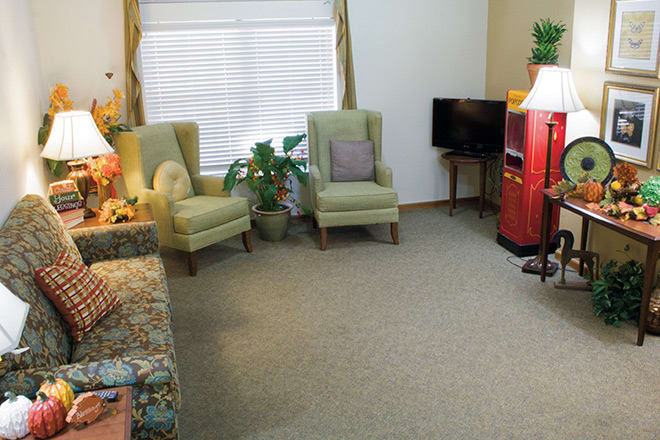 A cozy living room with chairs, a sofa, a television, and a houseplant.