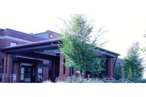 A modern building entrance with a tree in the foreground.
