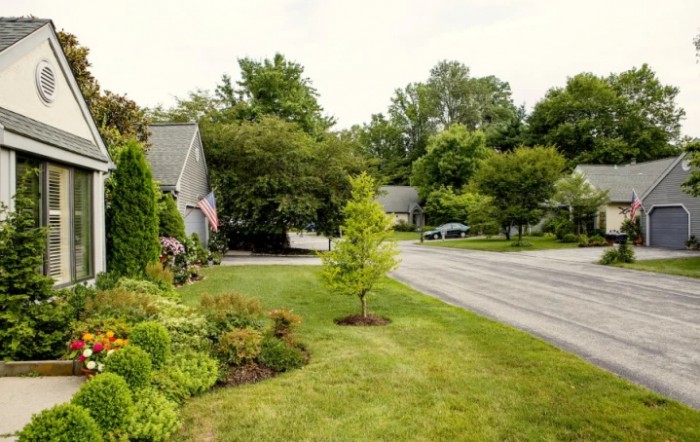 A suburban neighborhood street with houses, trees, and a well-maintained lawn.