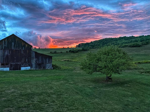 Grove At Latrobe