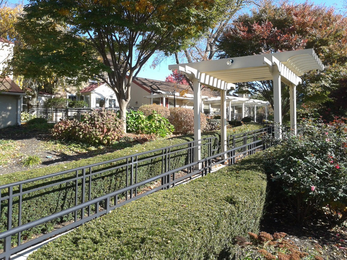 A landscaped garden with a pathway under a pergola, surrounded by trees and shrubs.