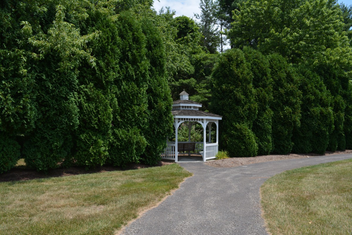 A scenic view of a garden pathway leading to a gazebo surrounded by lush trees.
