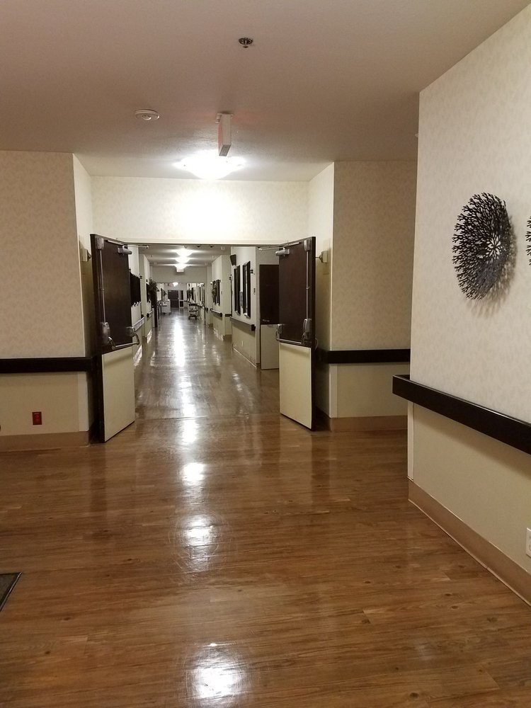 A well-lit hospital corridor with wooden flooring and decorative elements on the walls.