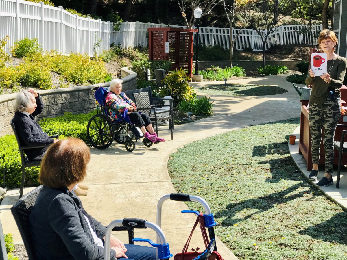 Seniors enjoying a sunny day in the garden, surrounded by greenery and using mobility aids.