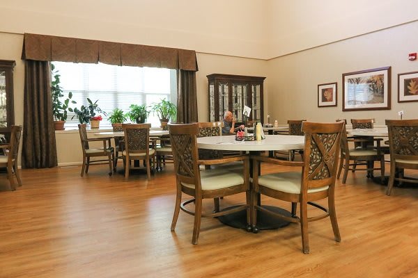 A cozy dining room with wooden tables and chairs, decorated with plants and a china cabinet.