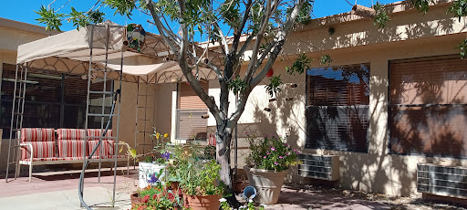 A serene garden scene featuring a tree and various potted plants under a bright blue sky.