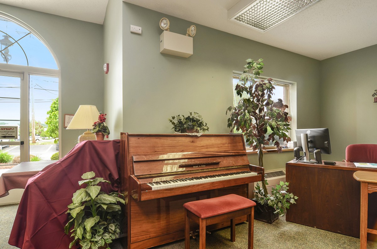 A cozy office space featuring a piano surrounded by plants and furniture.