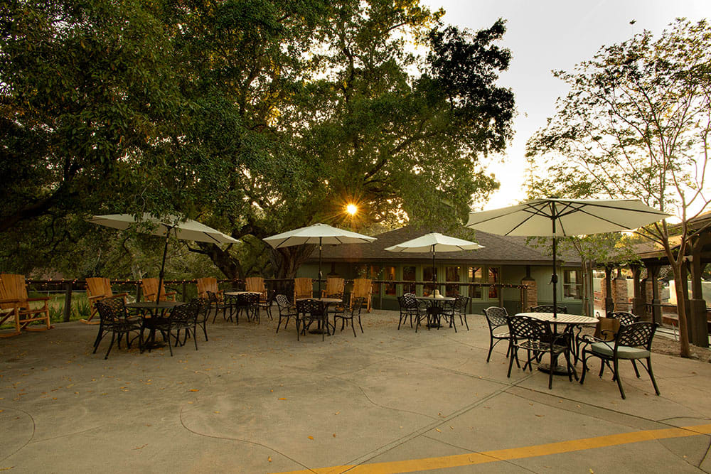An outdoor patio with tables, chairs, and umbrellas under trees at sunset.