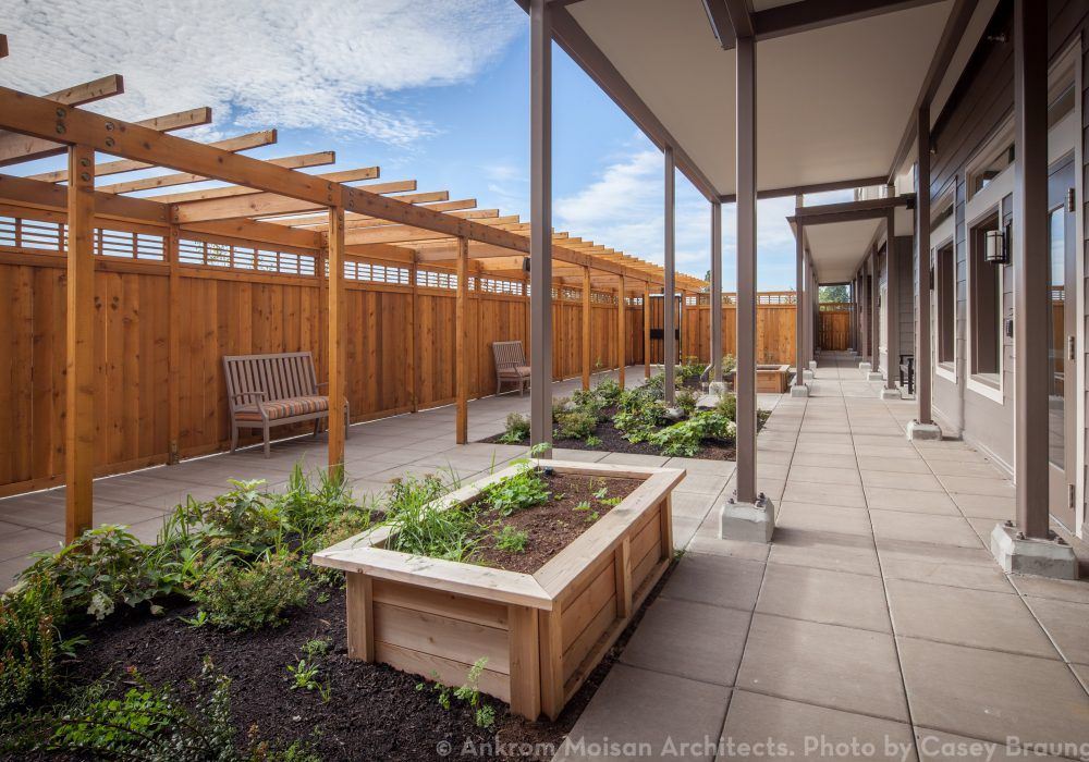 A modern courtyard featuring raised garden beds, a pergola, and outdoor seating.