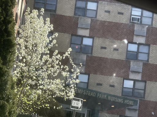 A view of a residential building with blooming trees in the foreground.