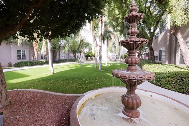 A garden scene featuring a decorative fountain surrounded by lush greenery and trees.