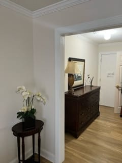 A view of a hallway with decorative furniture, a lamp, a painting, and an orchid on a small table.