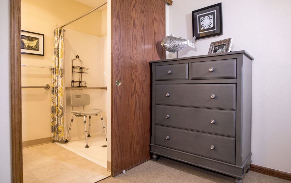 A cozy bathroom with a shower and an adjacent dresser.