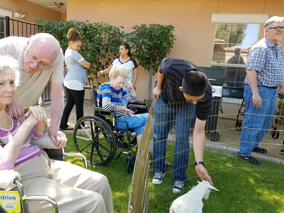 People enjoying a day at a petting zoo in a garden setting.