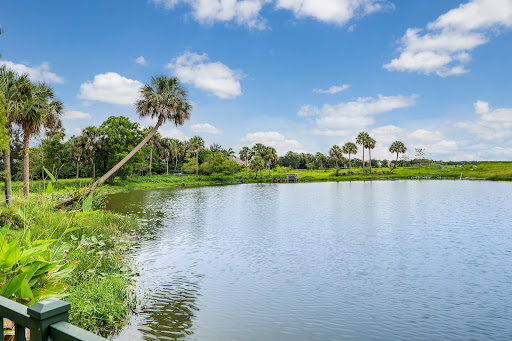A serene view of a lake surrounded by lush greenery and palm trees under a bright blue sky.