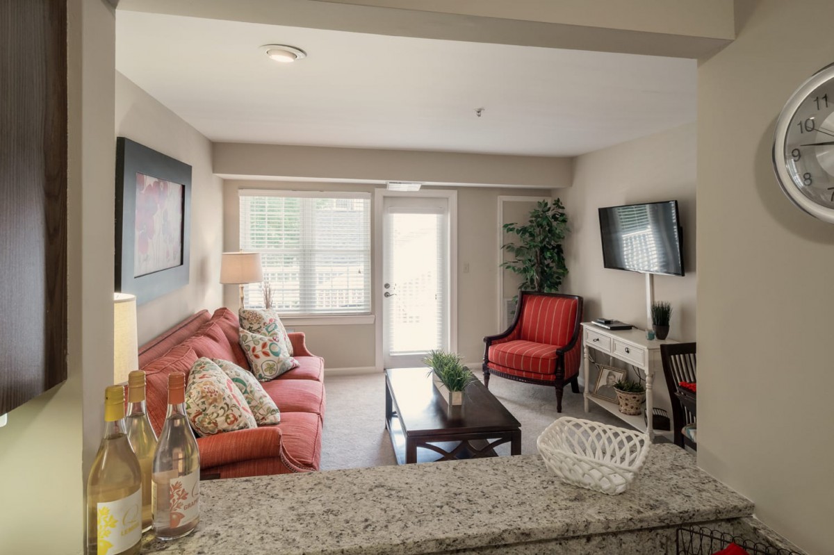Modern living room with a cozy seating area and decorative elements.