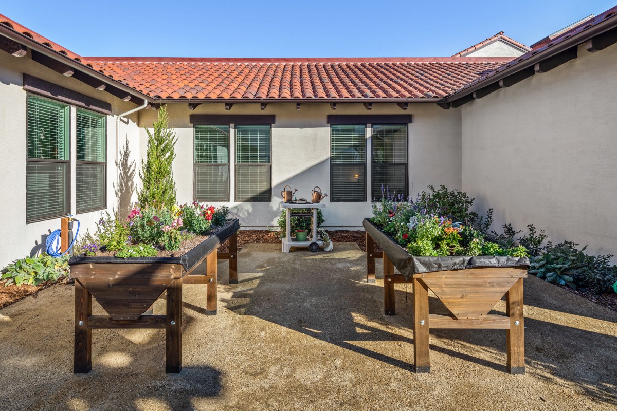 A sunny courtyard features wooden raised garden beds filled with a variety of plants.