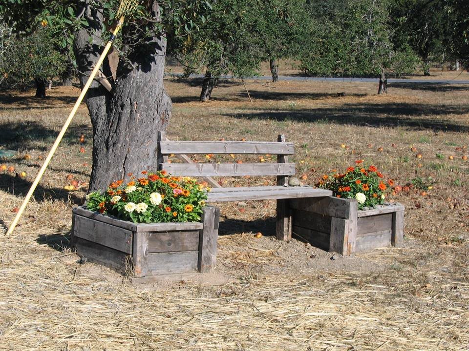 A rustic wooden bench nestled between two planters filled with vibrant flowers, set in a serene outdoor environment.