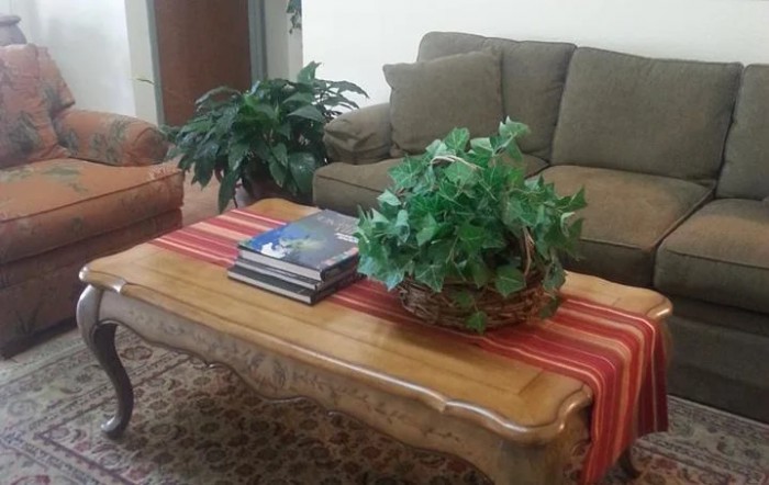 A cozy living room features a wooden coffee table adorned with books and greenery, complemented by a comfortable sofa.