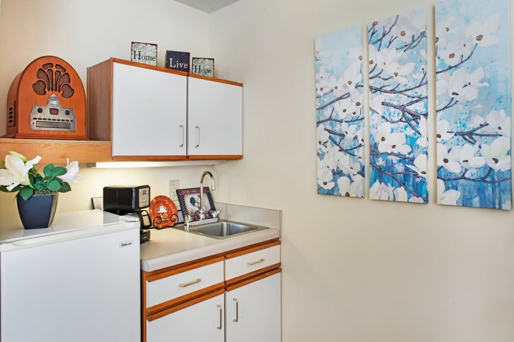 A small kitchen area with a sink and cabinetry, featuring wall art and compact appliances.