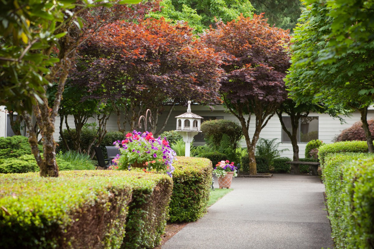 A serene garden pathway lined with lush greenery and colorful flowers.