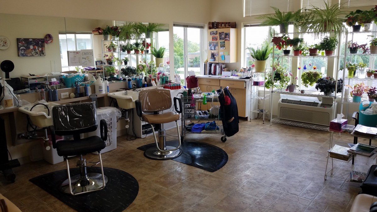 A cozy hair salon interior with chairs, mirrors, and plenty of plants.