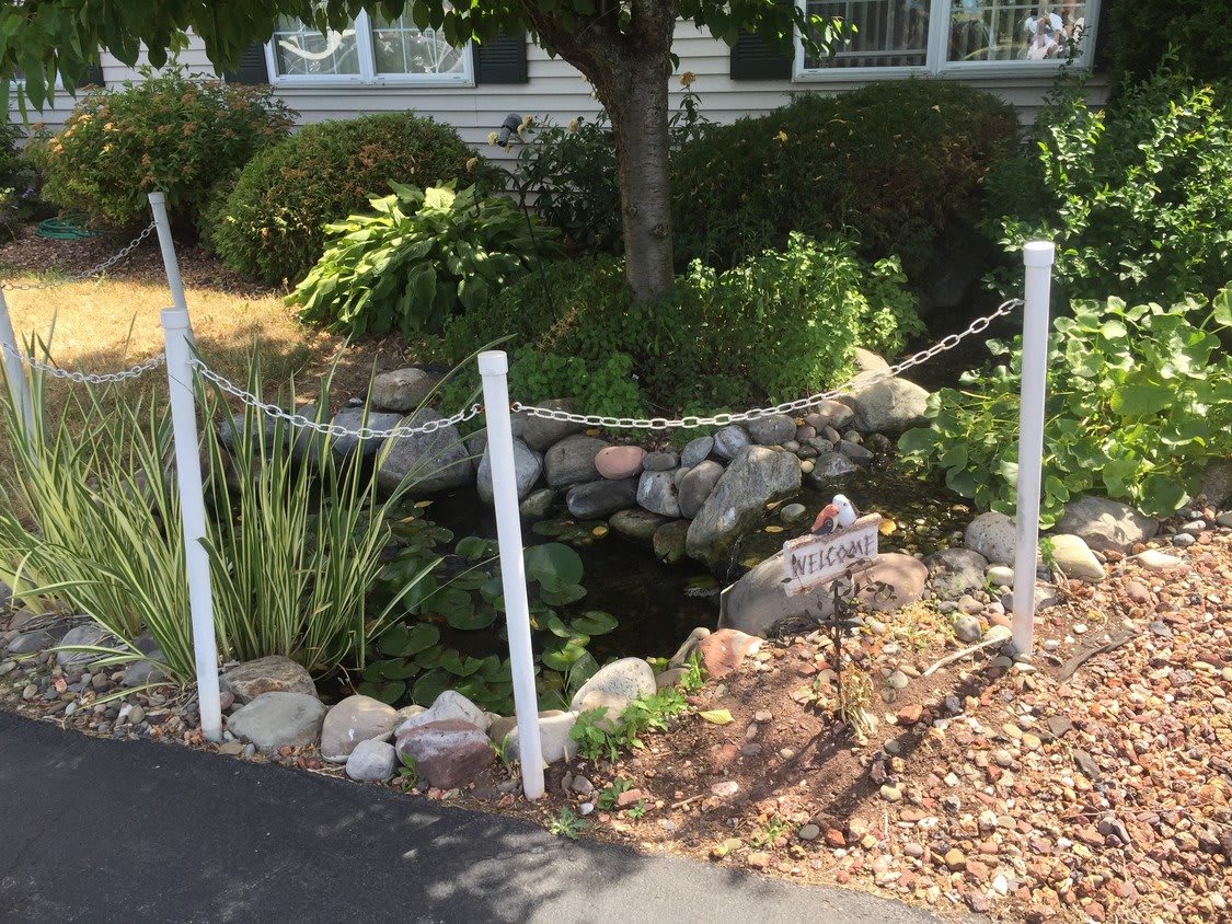 A beautifully landscaped garden with a small pond surrounded by rocks and greenery.