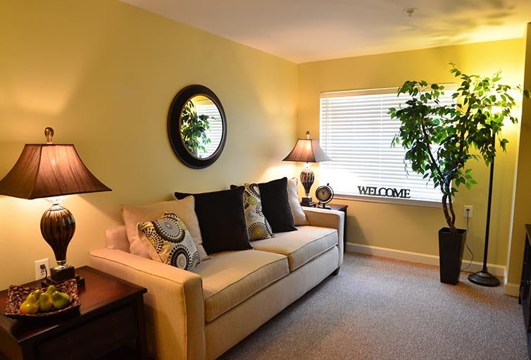 A cozy living room with a comfortable sofa, decorative pillows, and warm lighting. A large mirror hangs on the yellow wall above the sofa, and a potted plant adds greenery by the window.