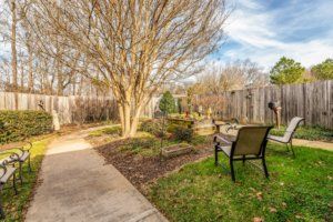 A serene garden with a bench, tree, and pathway under a clear sky.