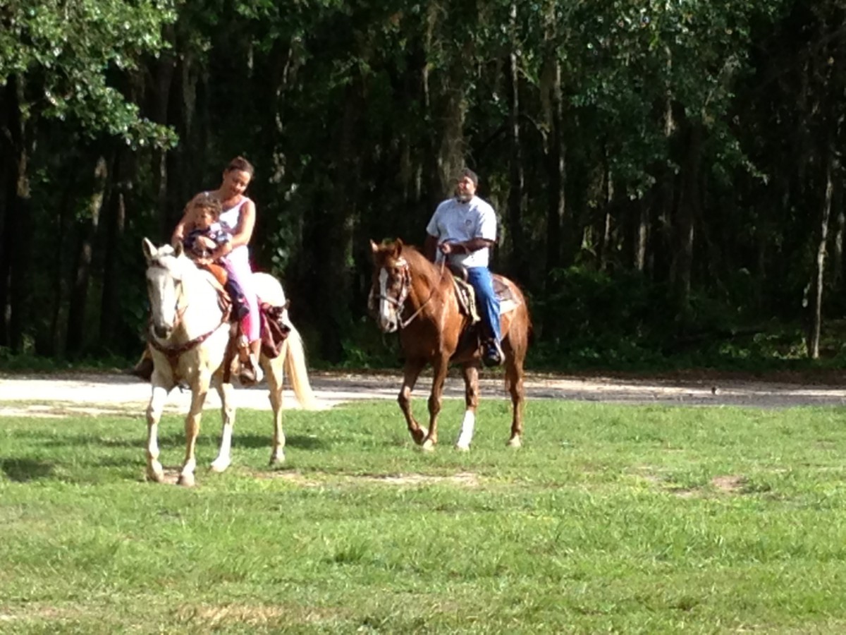 A family enjoying a horseback ride in a scenic outdoor setting.