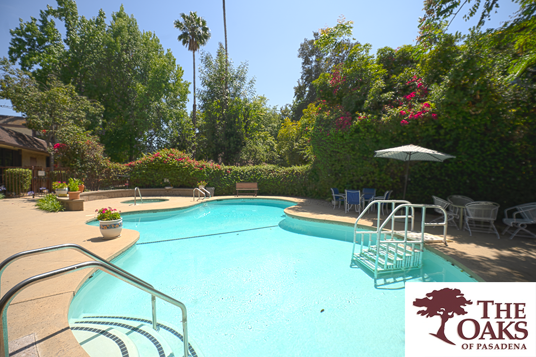 A serene outdoor swimming pool surrounded by lush greenery and under a clear blue sky.