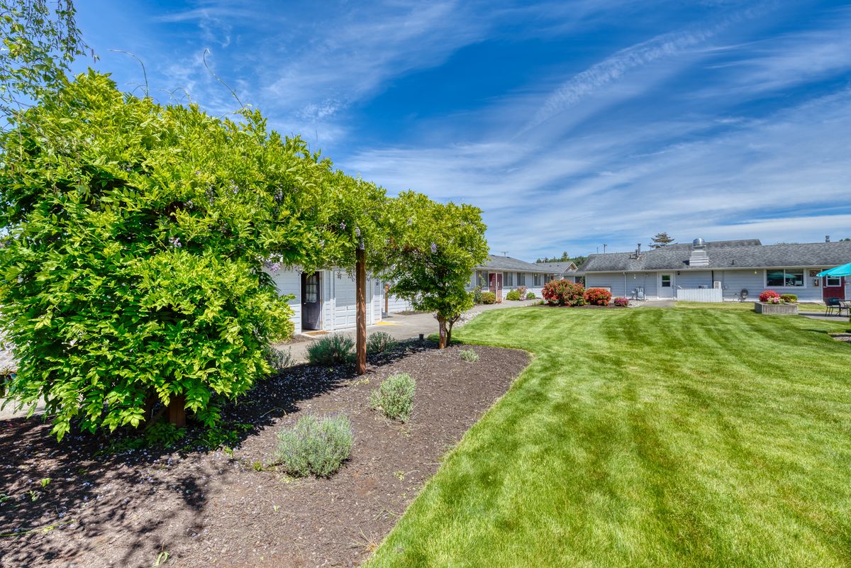 A well-maintained lawn with a small garden and trees under a clear blue sky.