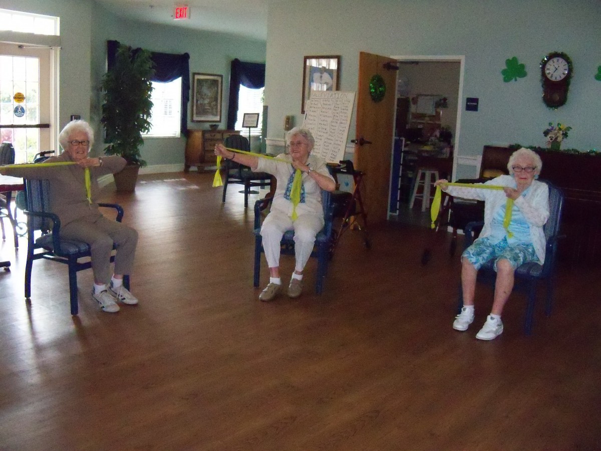 Seniors engaging in a chair exercise session indoors.