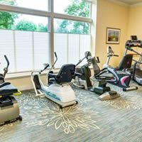 A well-lit gym with various cardio machines arranged by a large window.