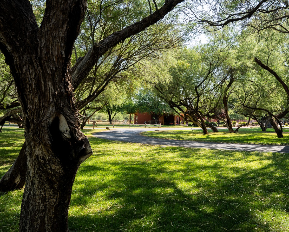 My Father's Retirement Ranch