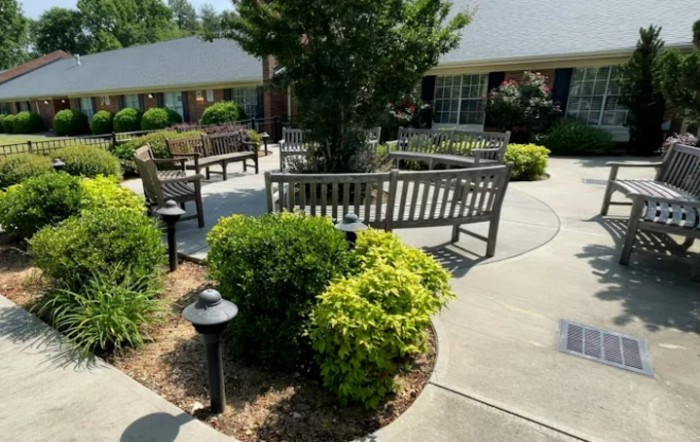 A sunny outdoor garden area with benches and lush greenery.
