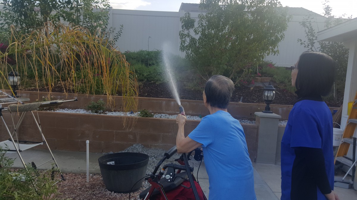 A person watering the garden with a hose in a backyard.