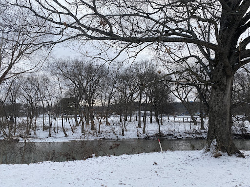A serene winter landscape featuring a snow-covered riverbank and bare trees.