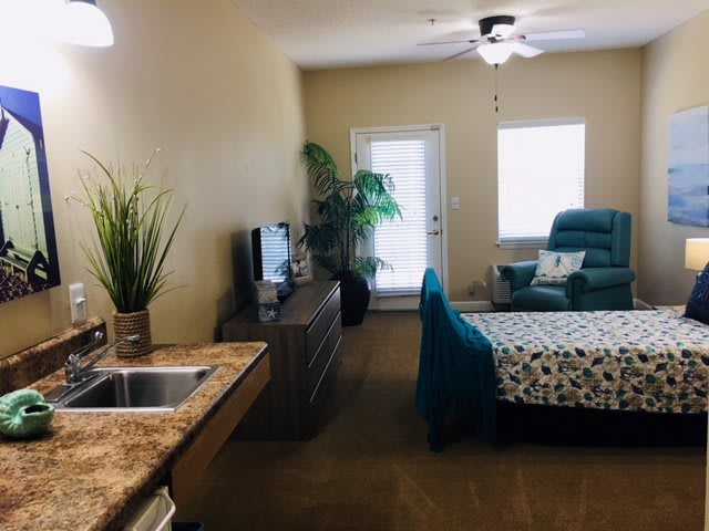Cozy living area with a sofa, bed, TV, and indoor plants.