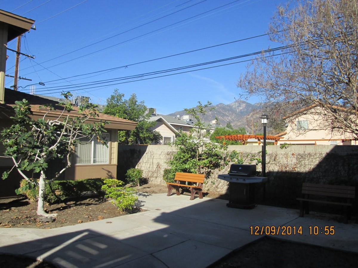 A sunny backyard with a garden, bench, and mountain view.