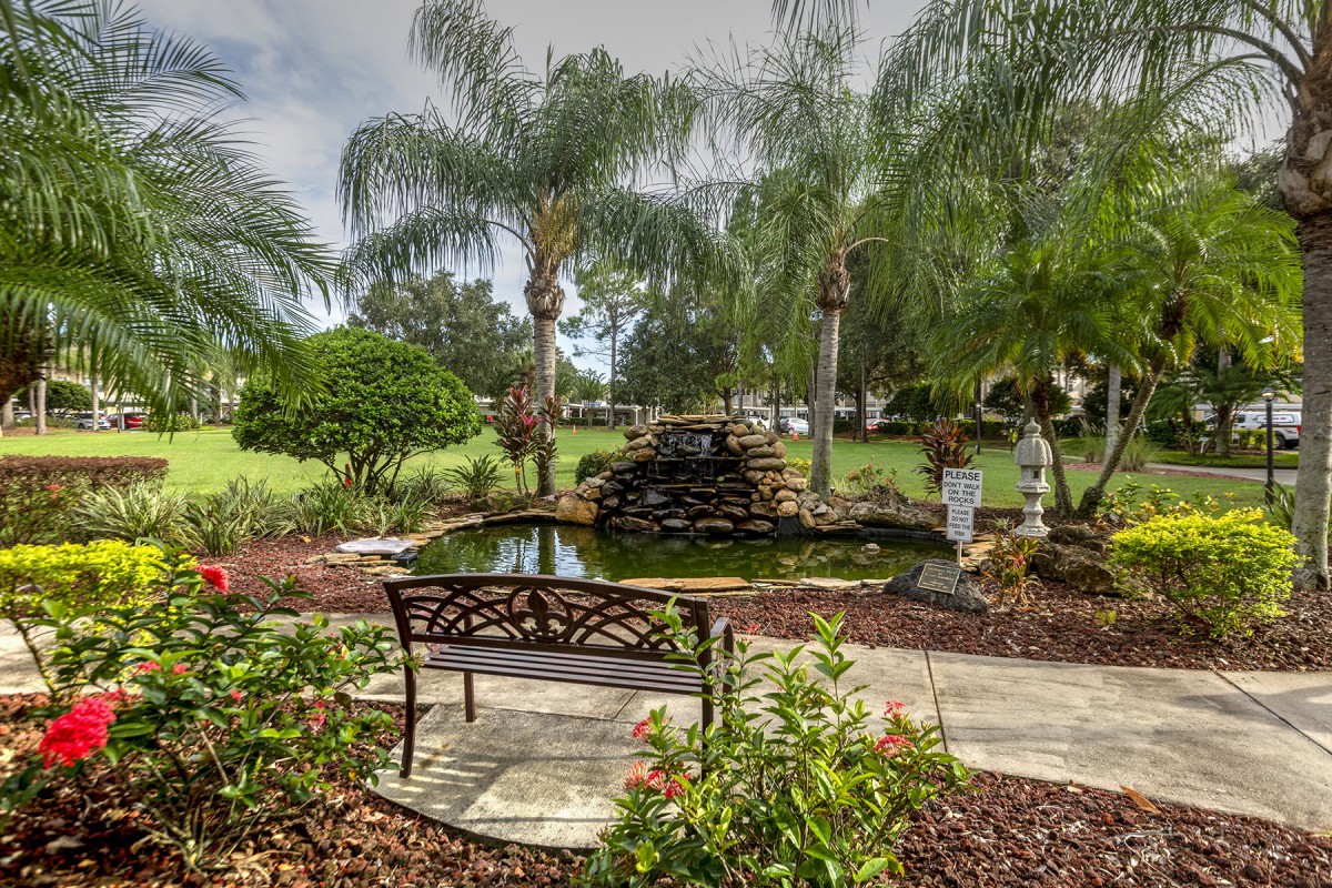 A peaceful garden with a bench overlooking a pond surrounded by palm trees.