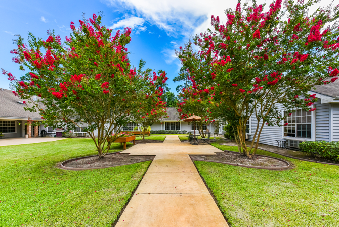 A landscaped garden with a pathway lined by flowering trees and benches under a blue sky.
