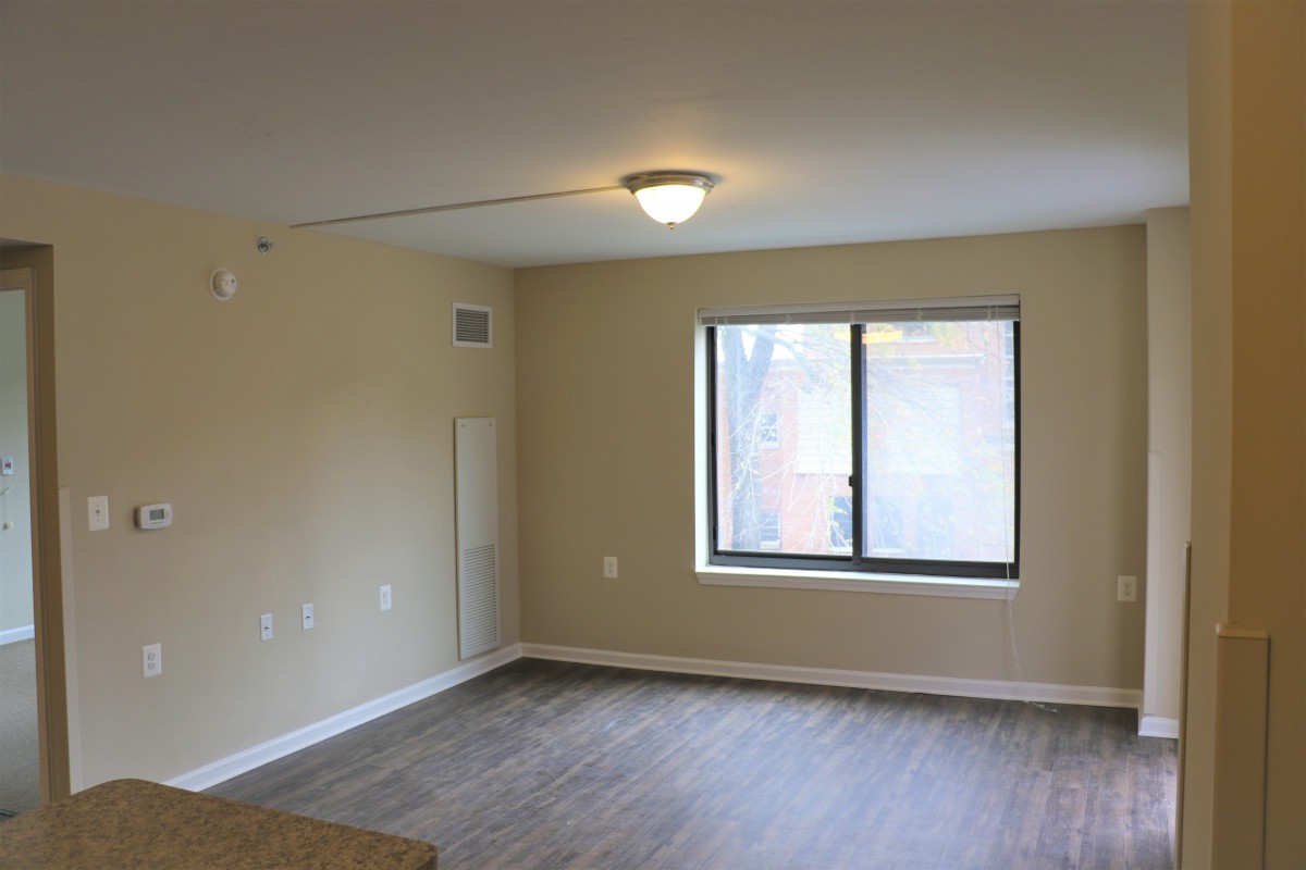An empty room with a window, overhead light, and wood-style flooring.