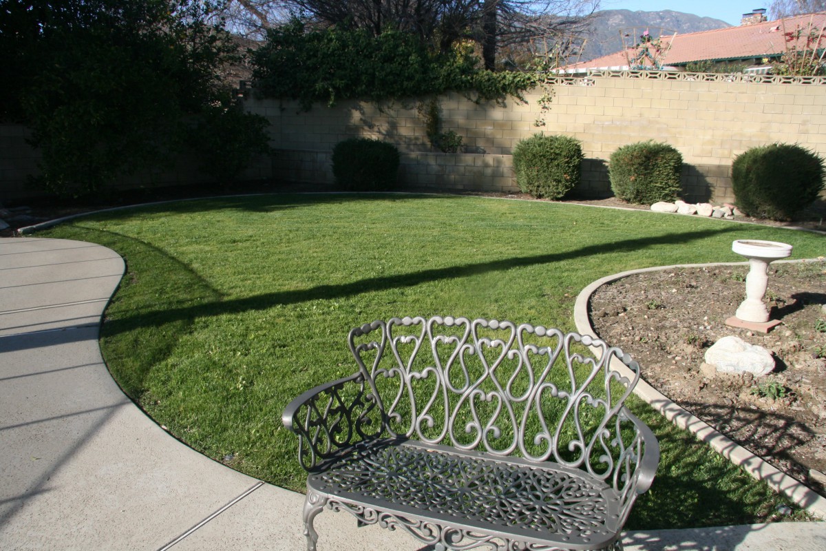 A sunny garden with a decorative metal bench and well-maintained lawn.