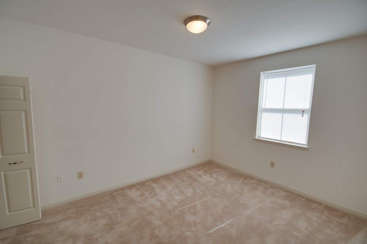A spacious, empty room with carpeted flooring and a window allowing natural light.