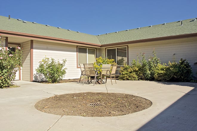 A sunny courtyard with a patio set surrounded by a garden.