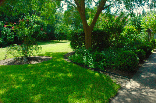 A serene garden view featuring lush green grass and vibrant plant life.